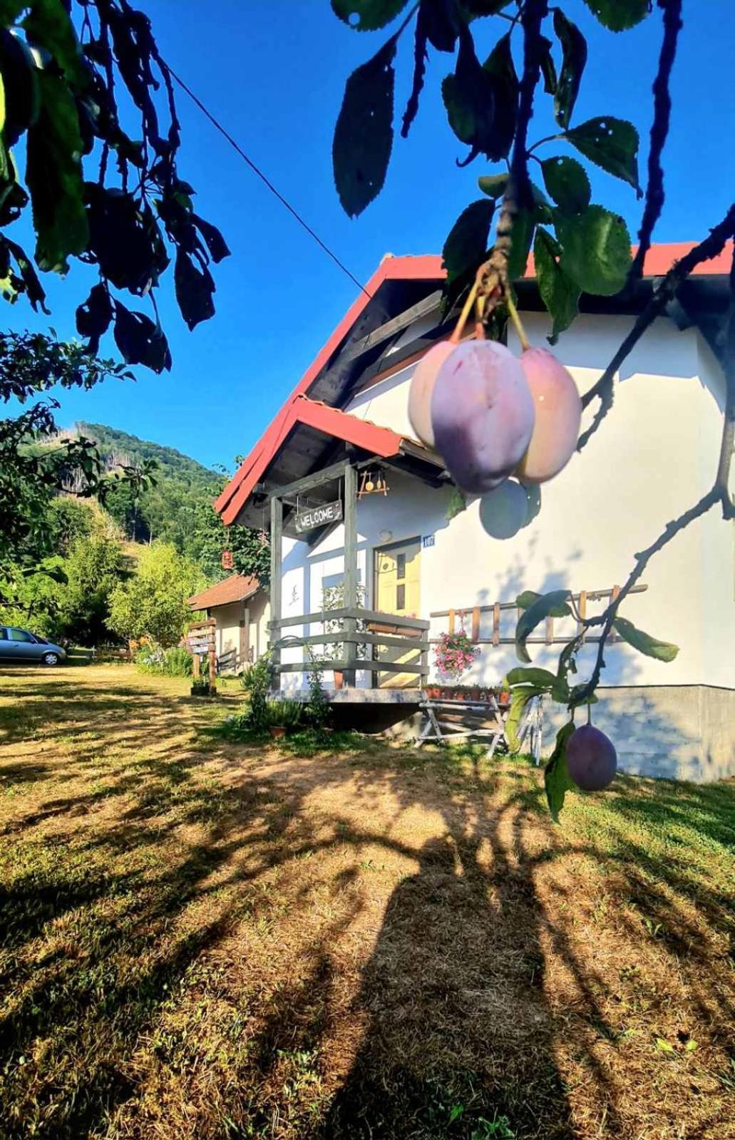 Kosta'S Romantic House 普拉夫 外观 照片